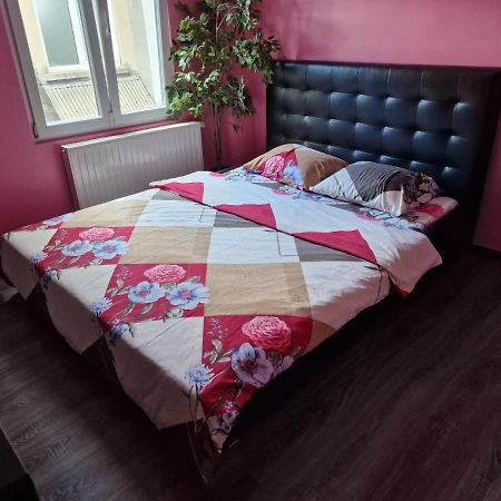 Right Choice Room Anversa Esterno foto