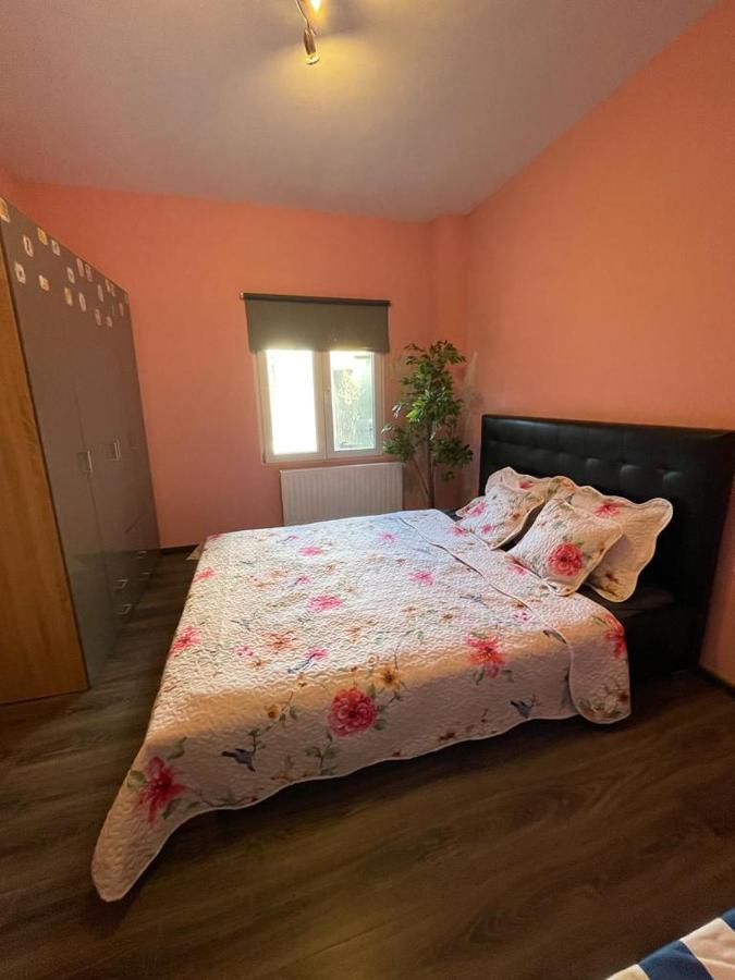 Right Choice Room Anversa Esterno foto