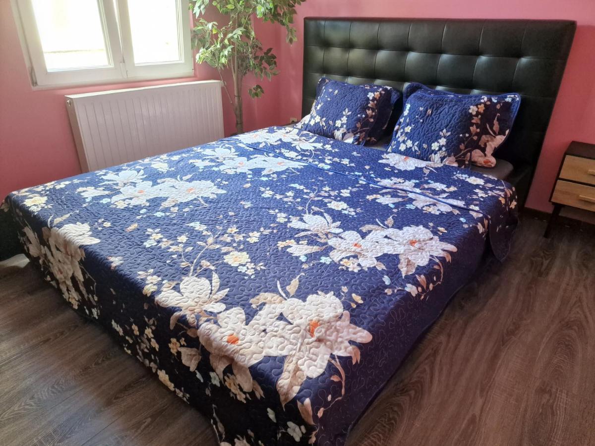 Right Choice Room Anversa Esterno foto